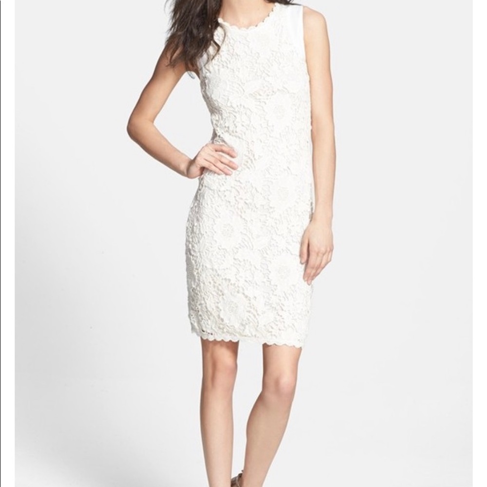 Velvet by Graham & Spencer Lace dress. NWOT